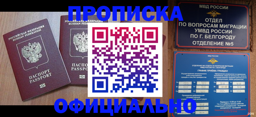 найти адрес прописки в Николаевске-на-Амуре